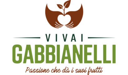 GABBIANELLI_logo_CMYK