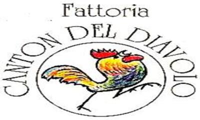 fattoria-canton-del-diavolo_Logo (1)