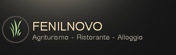 Fenilnovo_logo