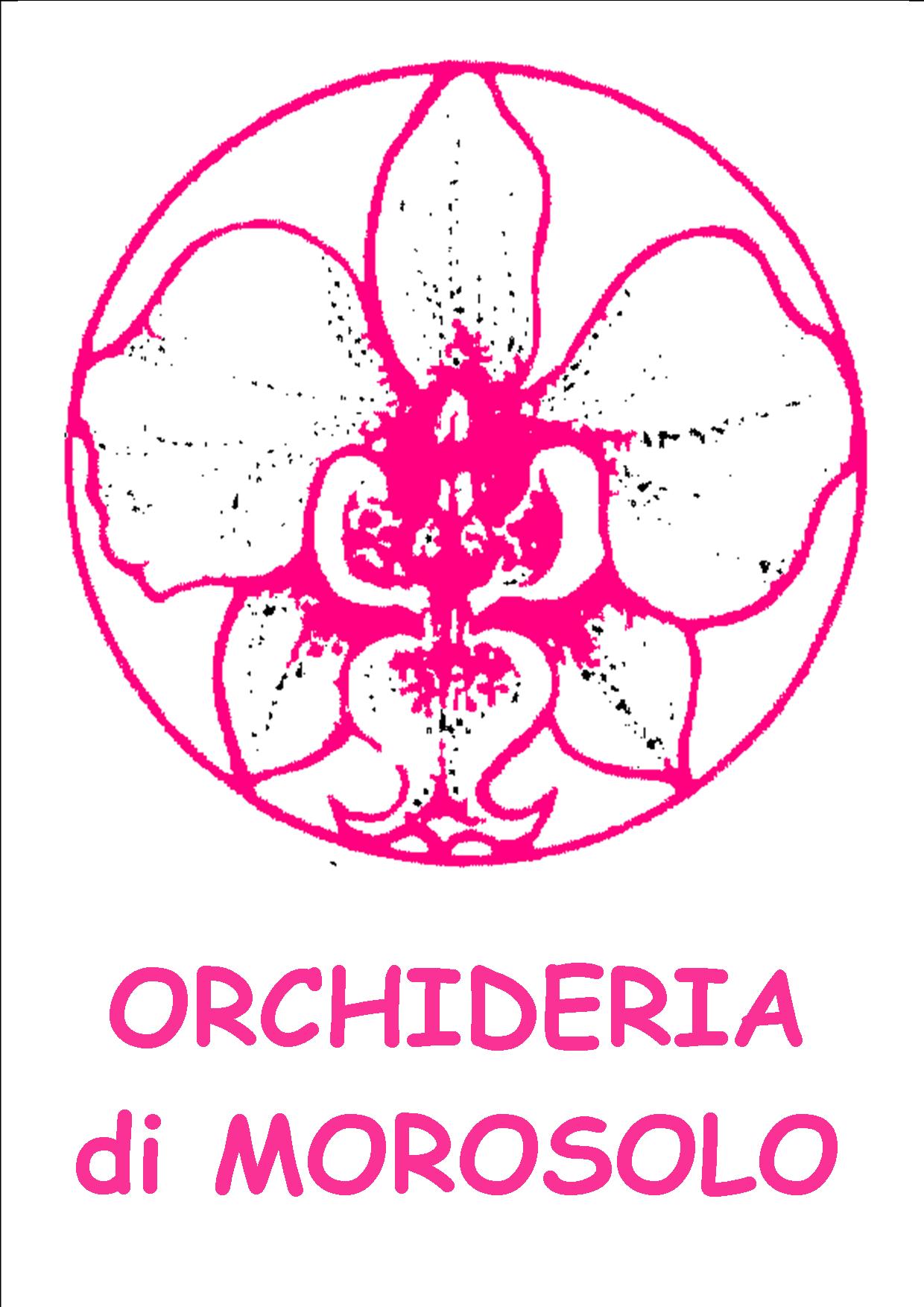 LOGO-ORCHIDERIA-di-MOROSOLO-11