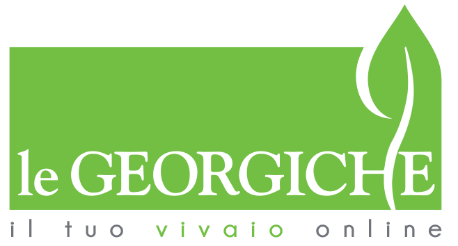 Logo Georgiche