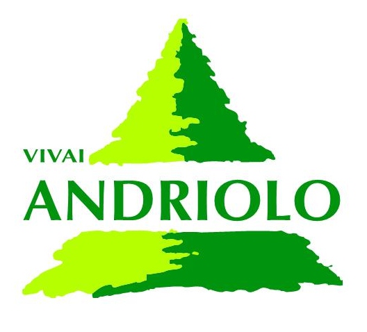 LogoAndriolo