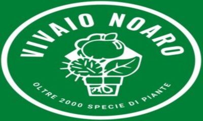 logo Noaro (1)