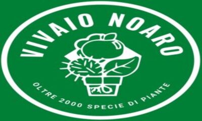 logo Noaro (1)