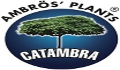 logo-ambrogio (1)