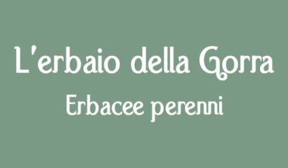 logo-erbaio-della-gorra