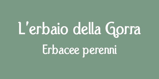 logo-erbaio-della-gorra