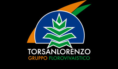 logo_gruppo_tsl-copia