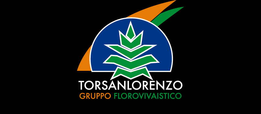 logo_gruppo_tsl-copia