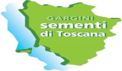 Sementi-di-toscana-Logo-271×300 (1)