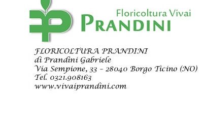 firma_prandini2