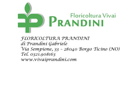 firma_prandini2