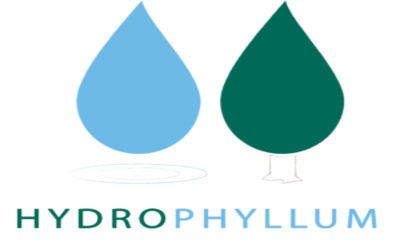 logonosfondo-hydrophyllum (1)