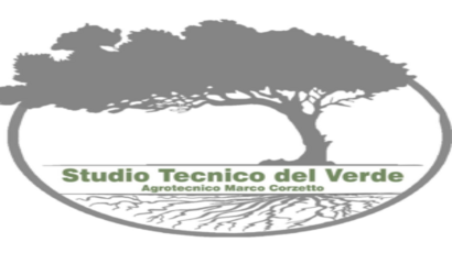 1logo studio tecnico verde (1)