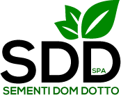 sdd-logo