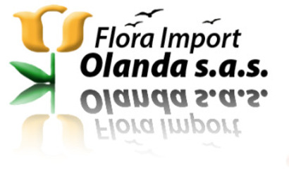 logo flora import (1)