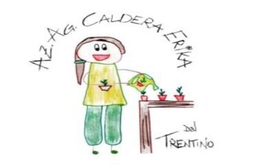 LOGO caldera (1)