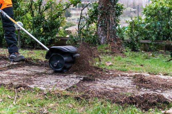 Quando e come affilare la catena della motosega - Vita in Campagna