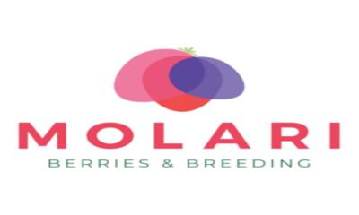 Molari-Logo-RGB-isfc-PNG-300×300