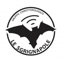 sgrignapole