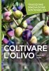 COLTIVARE L’OLIVO<br>Tradizione Innovazione Sostenibilità