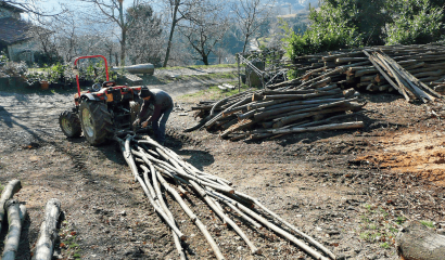 aggancio-tronchi-legna-tagliata