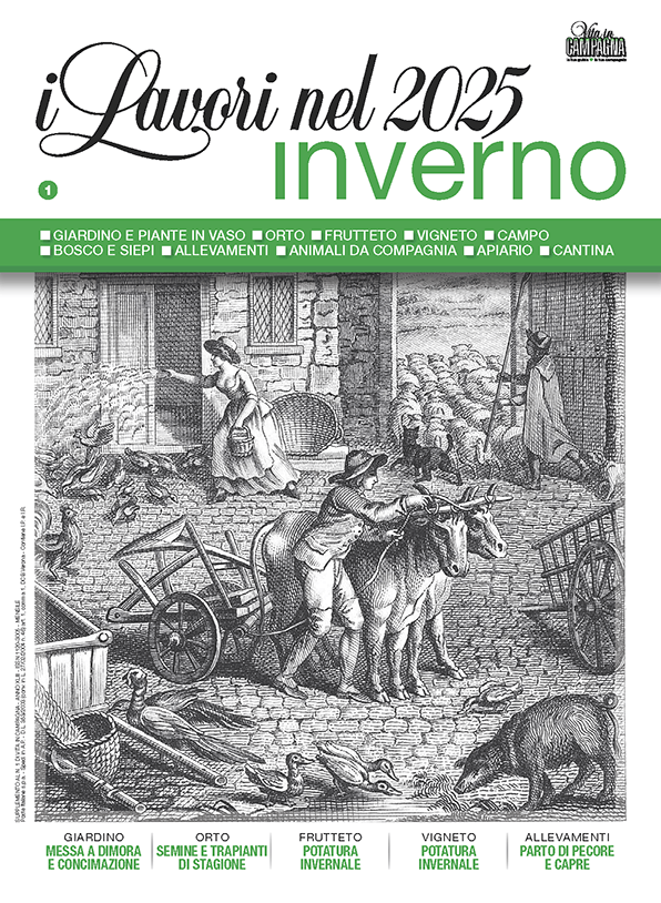 vita-in-campagna-supplemento-lavori-gennaio-2025