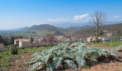 campagna-veneta